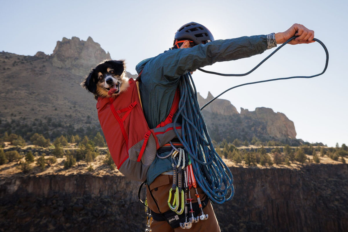 Climber standing on a rocky ridge coiling a rope with a black and white dog riding in the Ruffwear Hitch Hiker dog backpack carrier in Red Clay on his back, climbing gear and carabiners racked at his waist, dramatic rock formations and open sky behind