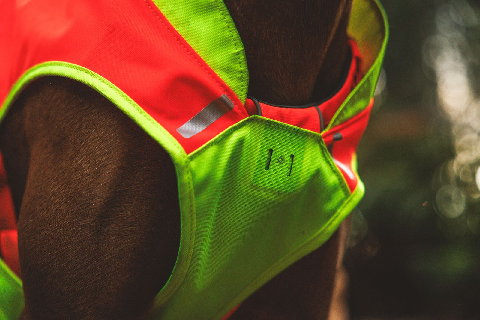 Close-up of chest light loop on the Ruffwear Lumenglow High-Vis Vest in Blaze Orange - dedicated attachment point for the Beacon Safety Light for low-light dog walking visibility