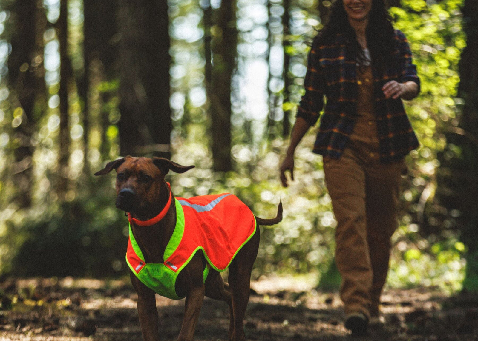 Dark-coated dog walking ahead of owner through woodland wearing Ruffwear Lumenglow High-Vis Vest in Blaze Orange — high-visibility dog vest for woodland walks and off-lead safety