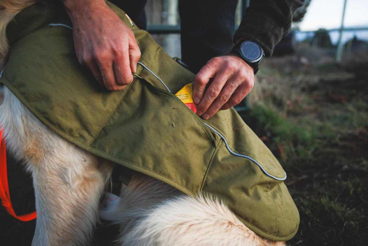 Close-up of owner accessing zippered pocket on Ruffwear Overcoat Fuse insulated dog vest in Cedar Green - low-profile storage pocket for walk essentials