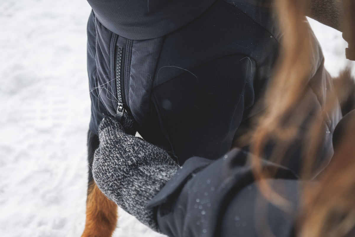 A person zipping the Ruffwear Powder Hound Coverall in Obsidian Black onto a dog in the snow - close-up showing the chest zip being fastened, with a gloved hand and the dog's front leg visible.