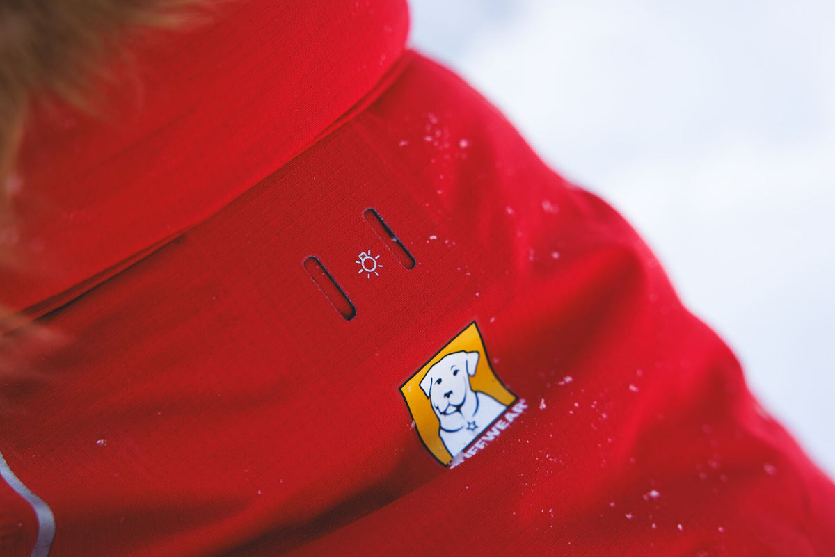 Ruffwear Powder Hound Waterproof Insulated Vest in Red Currant - close-up detail of the back of the vest showing the light loop for attaching the Ruffwear Beacon Safety Light and the iconic Ruffwear dog badge, dusted with snow.