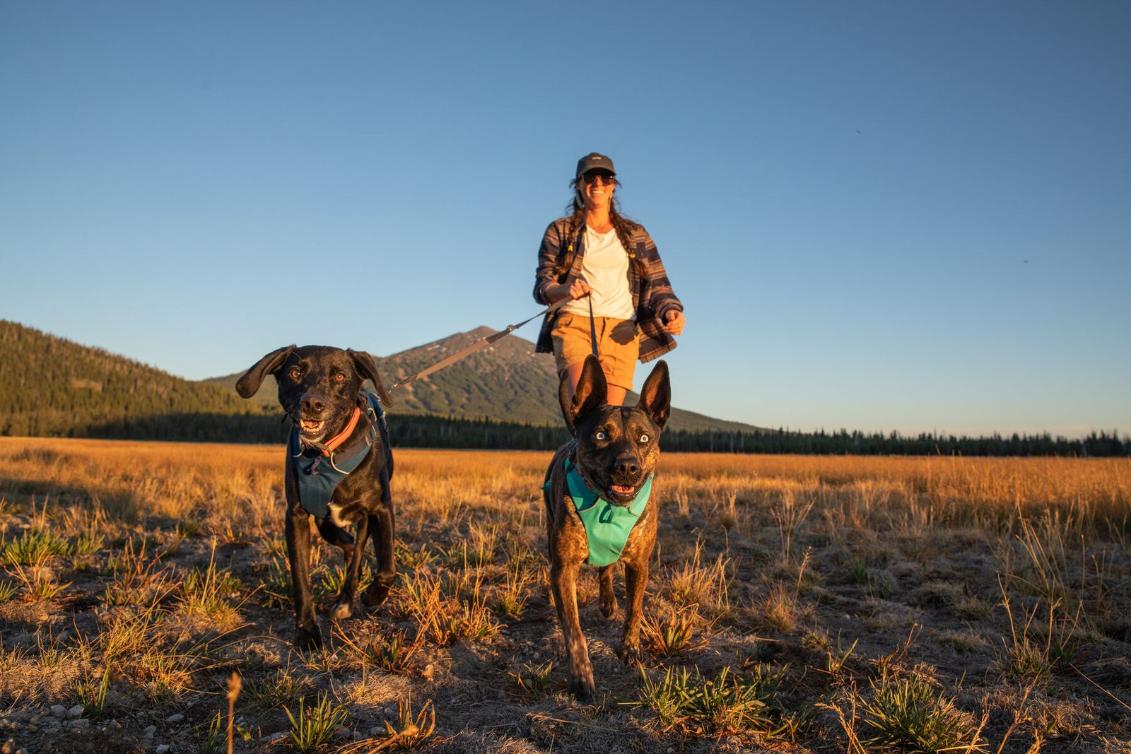 Woman walking two dogs across open moorland at golden hour using Ruffwear Switchbak Double-Ended Dog Lead in coupler configuration, mountain behind