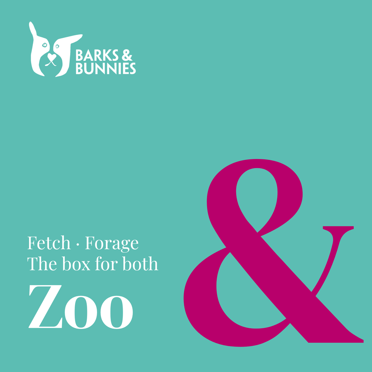 The Fetch &amp; Forage Box - Zoo. A subscription box for dogs and rabbits. Teal background with a medium pink ampersand and white text reading Fetch · Forage, The box for both, Zoo.