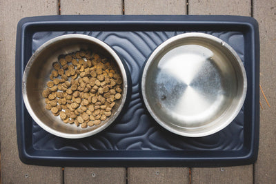 Two Ruffwear Basecamp Bowls with kibble on a Ruffwear Basecamp Mat