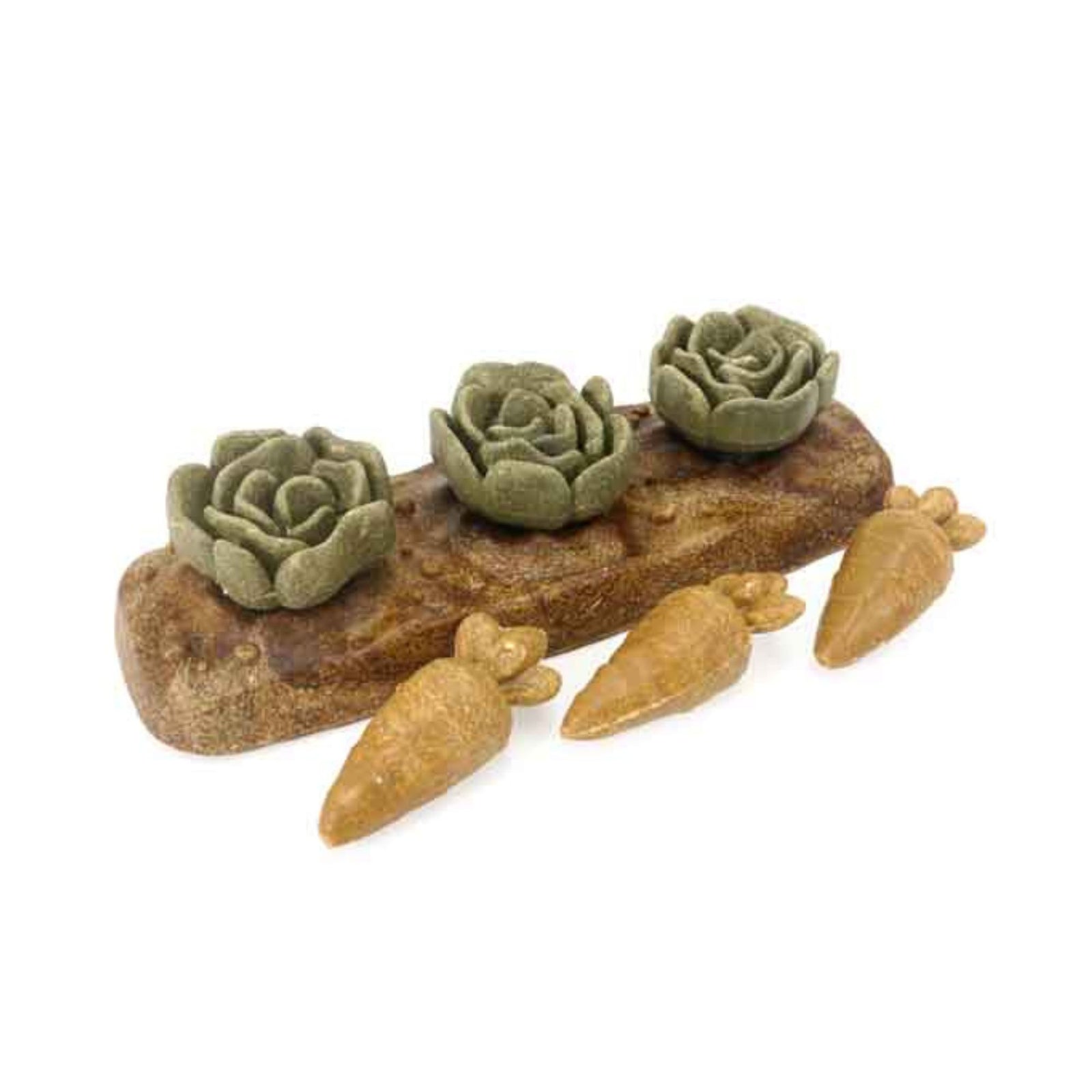 Rosewood Veggie Burst Salad Patch | Barks & Bunnies