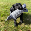 Green & Wilds Roger the Ropefish Eco Dog | Barks & Bunnies