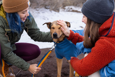 Ruffwear Climate Changer Recycled Fleece Winter Dog Coat | Barks & Bunnies
