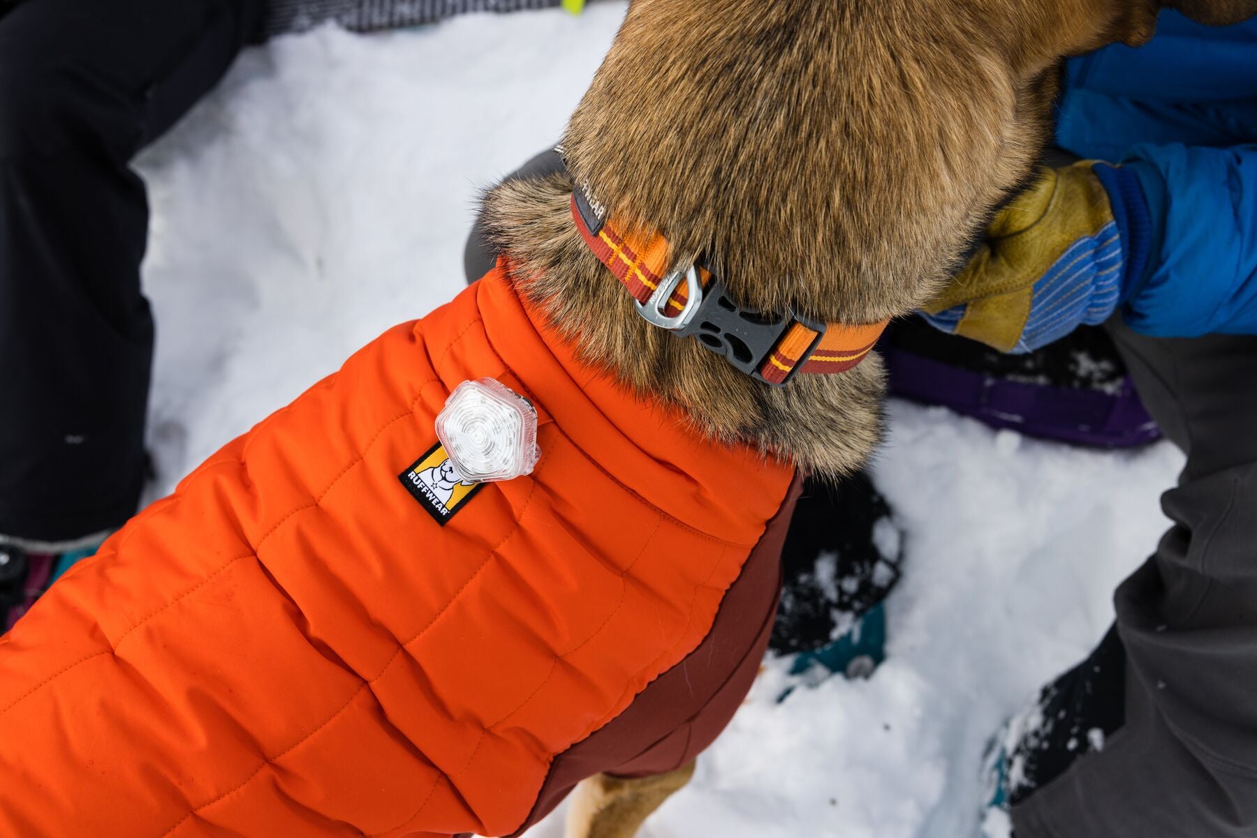 Ruffwear Harness Ruffwear Powder Hound Extra Warm Winter Dog Coat