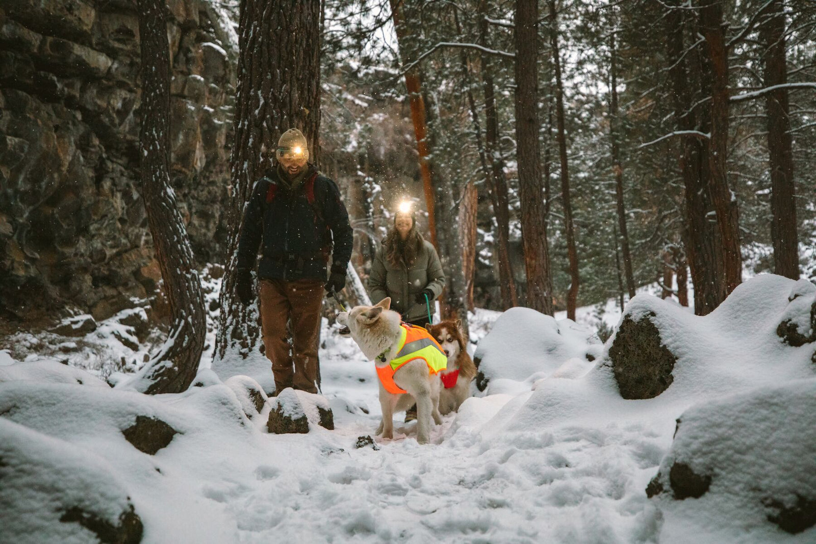 Ruffwear Lumenglow High-Vis Reflective Coat for Dogs | Barks & Bunnies