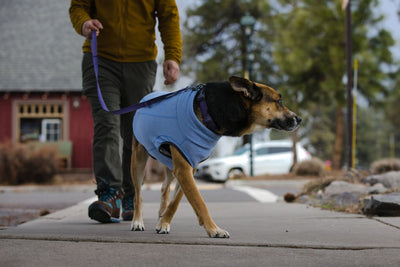 Ruffwear Hemp Hound, Eco Friendly Winter Dog Coat | Barks & Bunnies