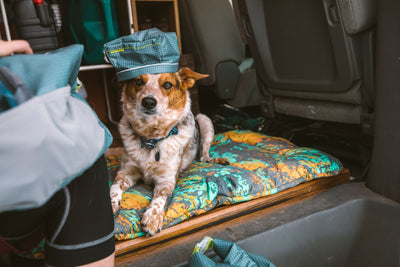 Ruffwear Basecamp Dog Bed, Lightweight Dog Travel Bed | Barks & Bunnies
