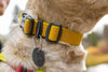 Ruffwear Hi & Light Lightweight Dog Collar | Barks & Bunnies
