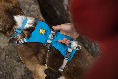 Ruffwear Flagline Dog Harness with Handle | Barks & Bunnies