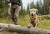 Ruffwear Brush Guard Dog Harness Tummy Protection | Barks & Bunnies