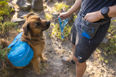 Ruffwear Treat Trader, Dog Treat Bag for Training | Barks & Bunnies