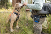 Ruffwear Treat Trader, Dog Treat Bag for Training | Barks & Bunnies