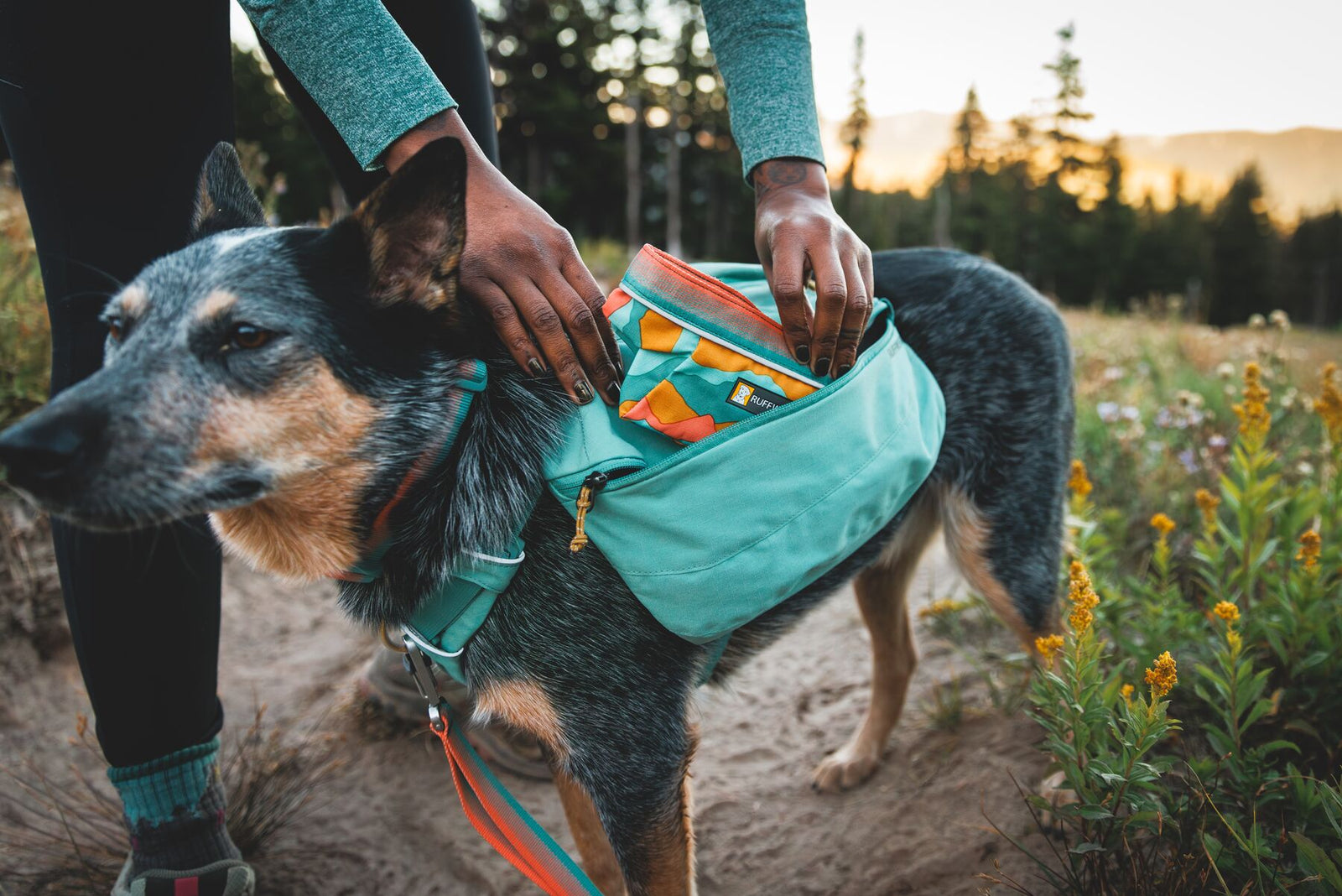 Ruffwear Front Range Day Pack, Dog Backpack | Barks & Bunnies