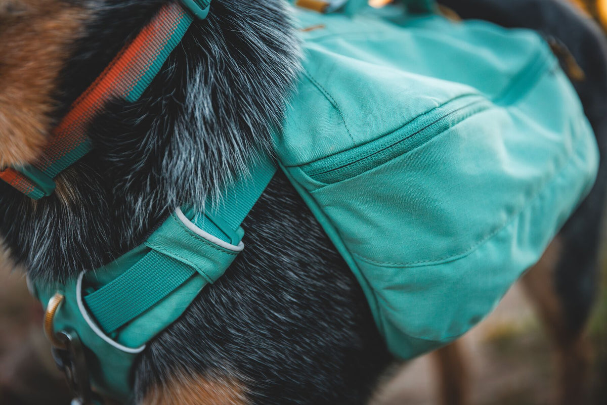 Ruffwear Front Range Day Pack, Dog Backpack | Barks &amp; Bunnies