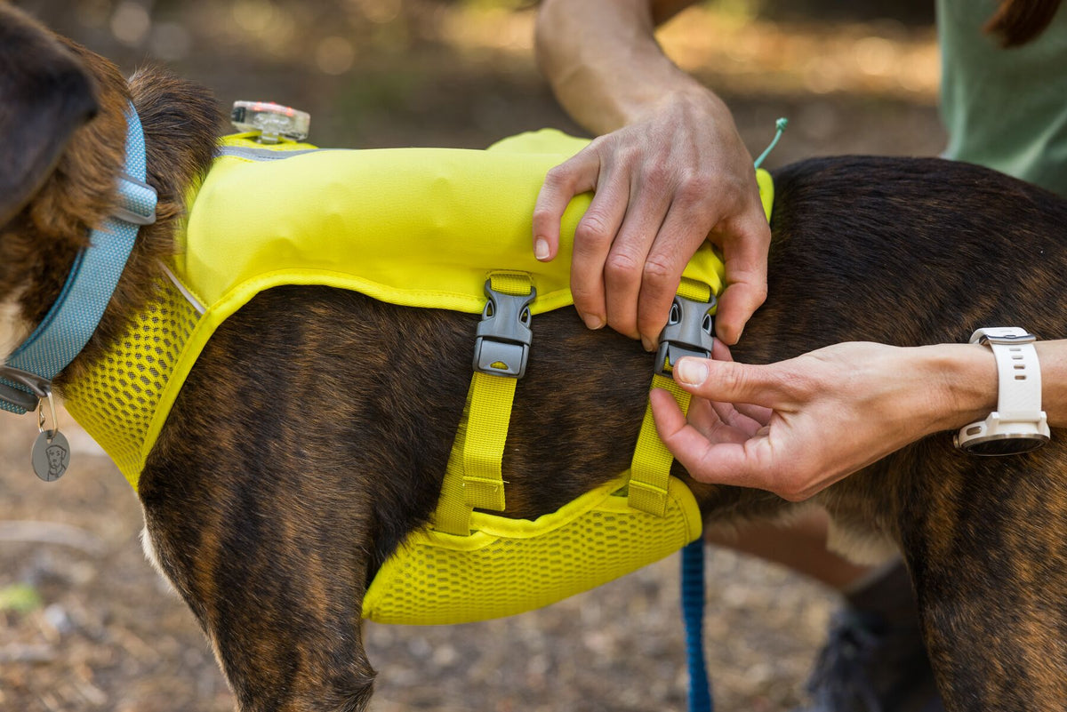 Ruffwear Trail Runner Running Vest Dog Running Coat | Barks &amp; Bunnies