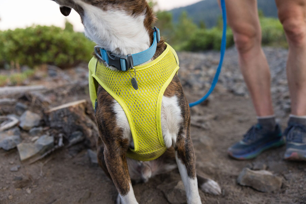 Ruffwear Trail Runner Running Vest Dog Running Coat | Barks &amp; Bunnies