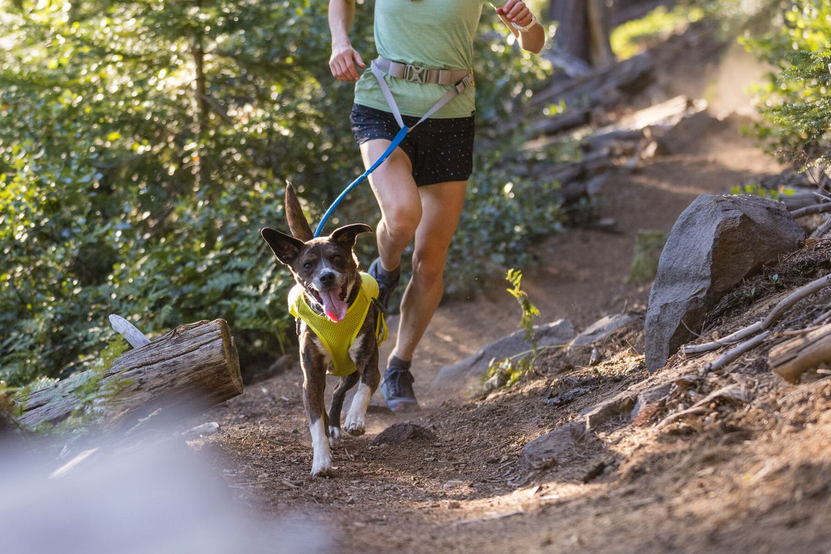 Ruffwear Trail Runner Belt, Dog Running Belt | Barks &amp; Bunnies
