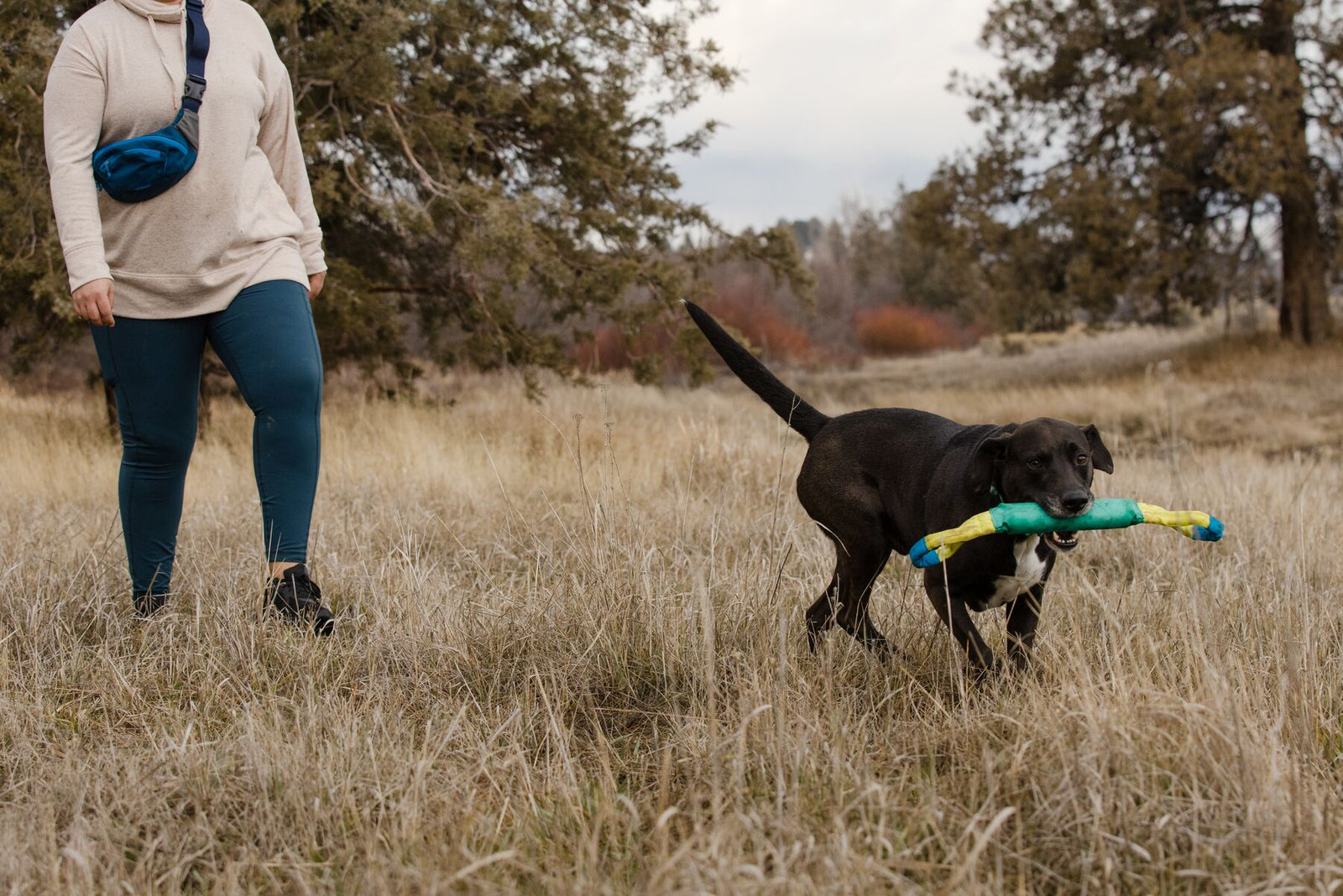 Ruffwear Pacific Loop Tug Toy & Floating Dog Toy | Barks & Bunnies