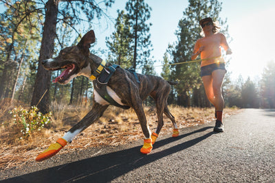 Ruffwear Summit Trex Boots, Dog Boots | Barks & Bunnies