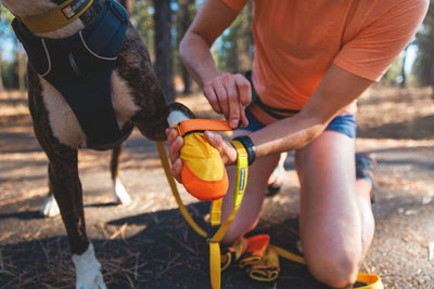 Ruffwear Summit Trex Boots, Dog Boots | Barks & Bunnies