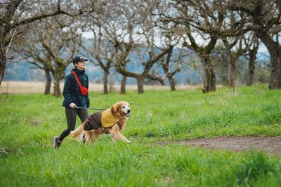 Knot-a-Leash