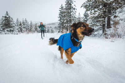 Ruffwear Vert, Insulated Warm Winter Dog Coat | Barks & Bunnies