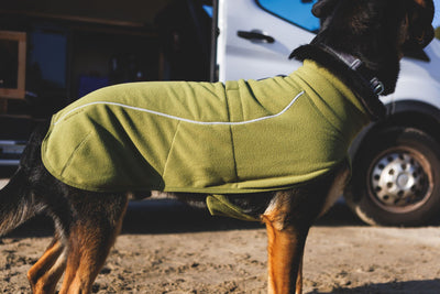 Ruffwear Climate Changer Fleece Vest Dog Coat | Barks & Bunnies