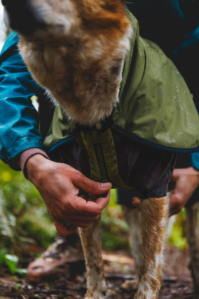 Ruffwear Sun Shower Coverall Belly Coverage Dog Jacket | Barks & Bunnies