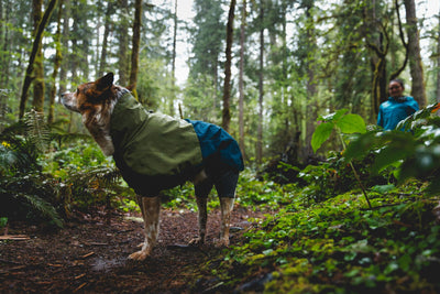 Ruffwear Sun Shower Coverall Belly Coverage Dog Jacket | Barks & Bunnies