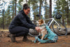 Ruffwear Hitch Hiker Dog Backpack Carrier | Barks & Bunnies