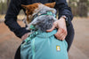 Ruffwear Hitch Hiker Dog Backpack Carrier | Barks & Bunnies