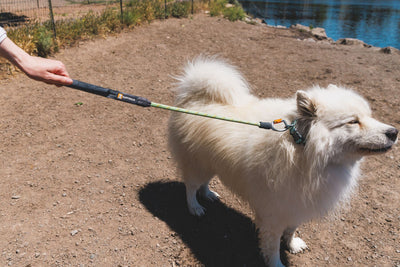 Ruffwear Knot-a-Long Rope Dog Lead | Barks & Bunnies