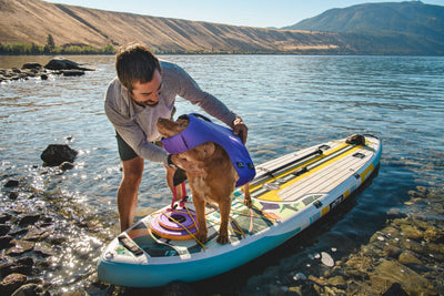 Ruffwear Hydro Plane Frisbee Floating Dog Toy | Barks & Bunnies