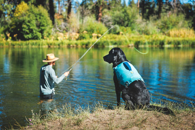 Ruffwear Confluence Dog Life Jacket For Water Sports | Barks & Bunnies