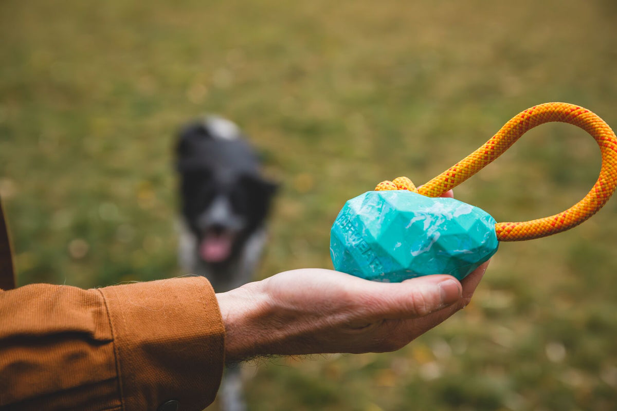 Ruffwear Huck-a-Cone Rope Dog Toy | Barks &amp; Bunnies