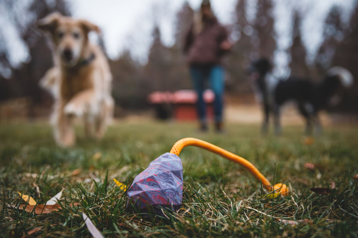 Ruffwear Huck-a-Cone Rope Dog Toy | Barks &amp; Bunnies