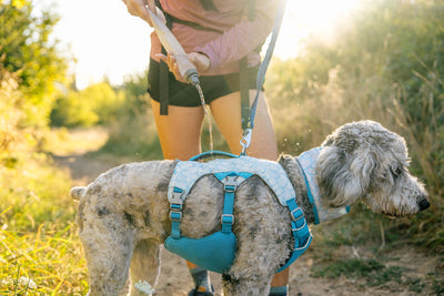 Ruffwear Swamp Cooler Dog Harness Cooling Coat | Barks & Bunnies