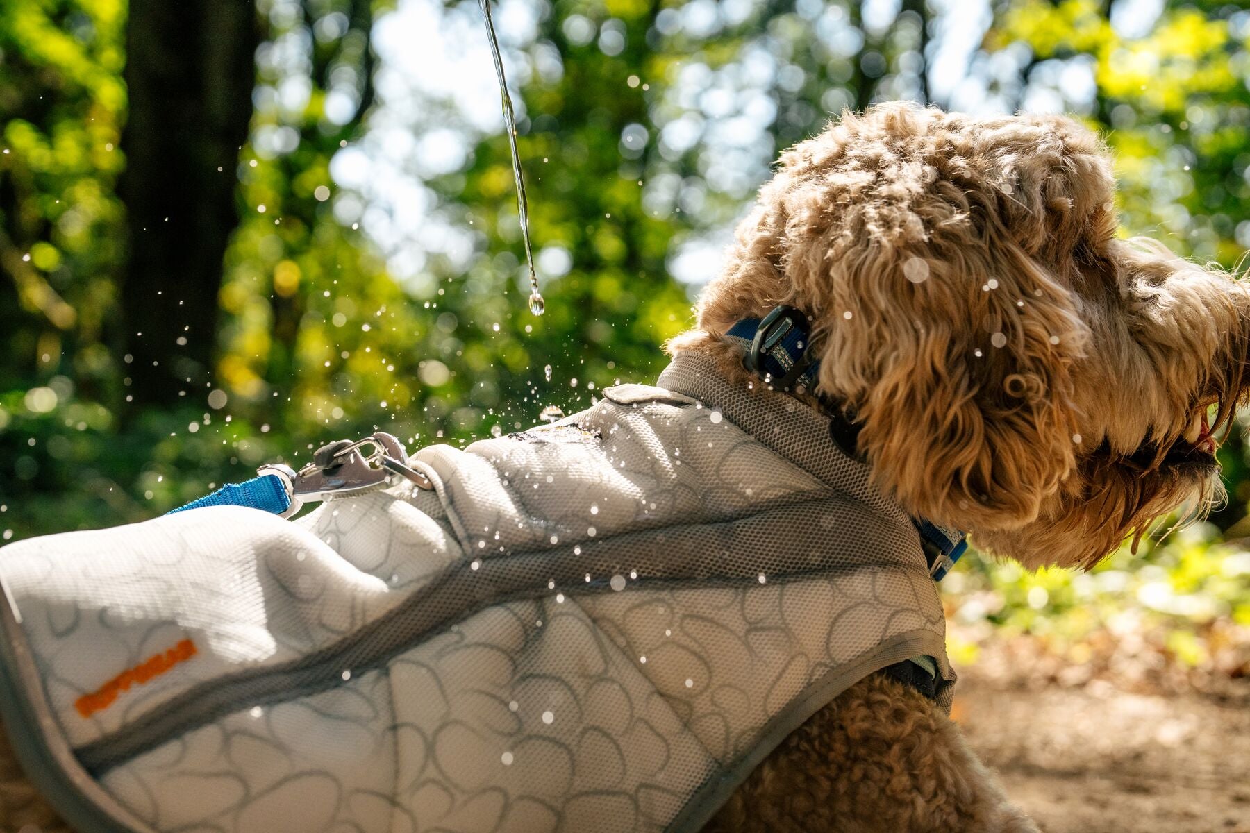 Ruffwear Hundekühlweste Swamp Cooler Zip™ (Größe XXS (Brustumfang 33–43 Ruffwear Hundekühlweste Swamp Cooler Zip™ (Größe XXS (Brustumfang 33–43