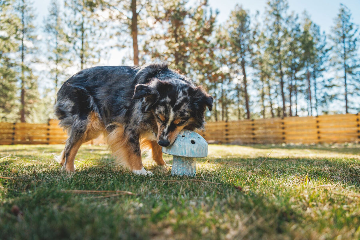 Ruffwear Porcini Dog Toy, Interactive Slow Feeder | Barks &amp; Bunnies