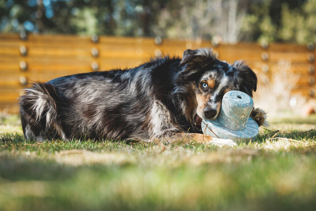 Ruffwear Porcini Dog Toy, Interactive Slow Feeder | Barks &amp; Bunnies