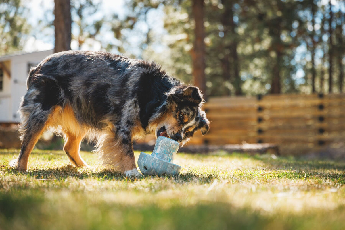 Ruffwear Porcini Dog Toy, Interactive Slow Feeder | Barks &amp; Bunnies