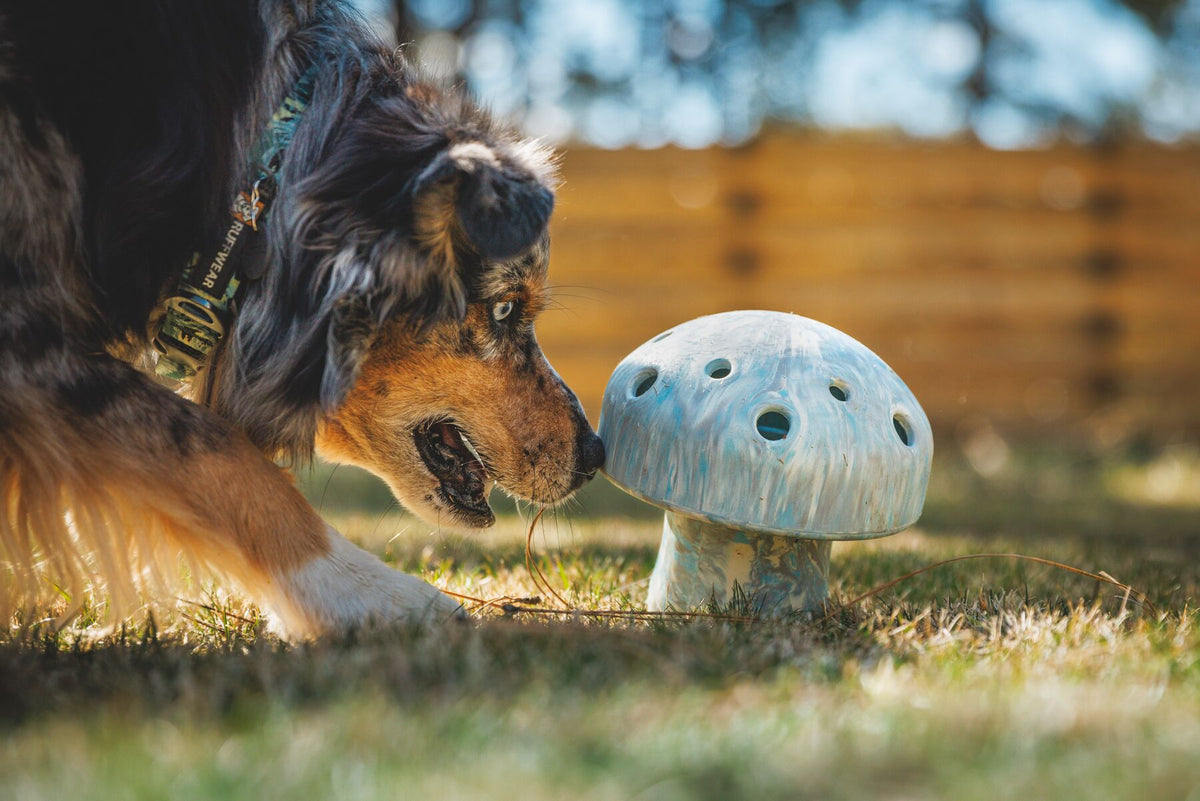 Ruffwear Porcini Dog Toy, Interactive Slow Feeder | Barks &amp; Bunnies