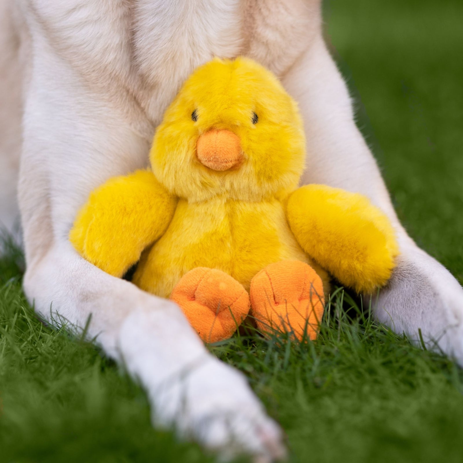 Fluff & Tuff Howie Duck yellow plush dog toy on white background"