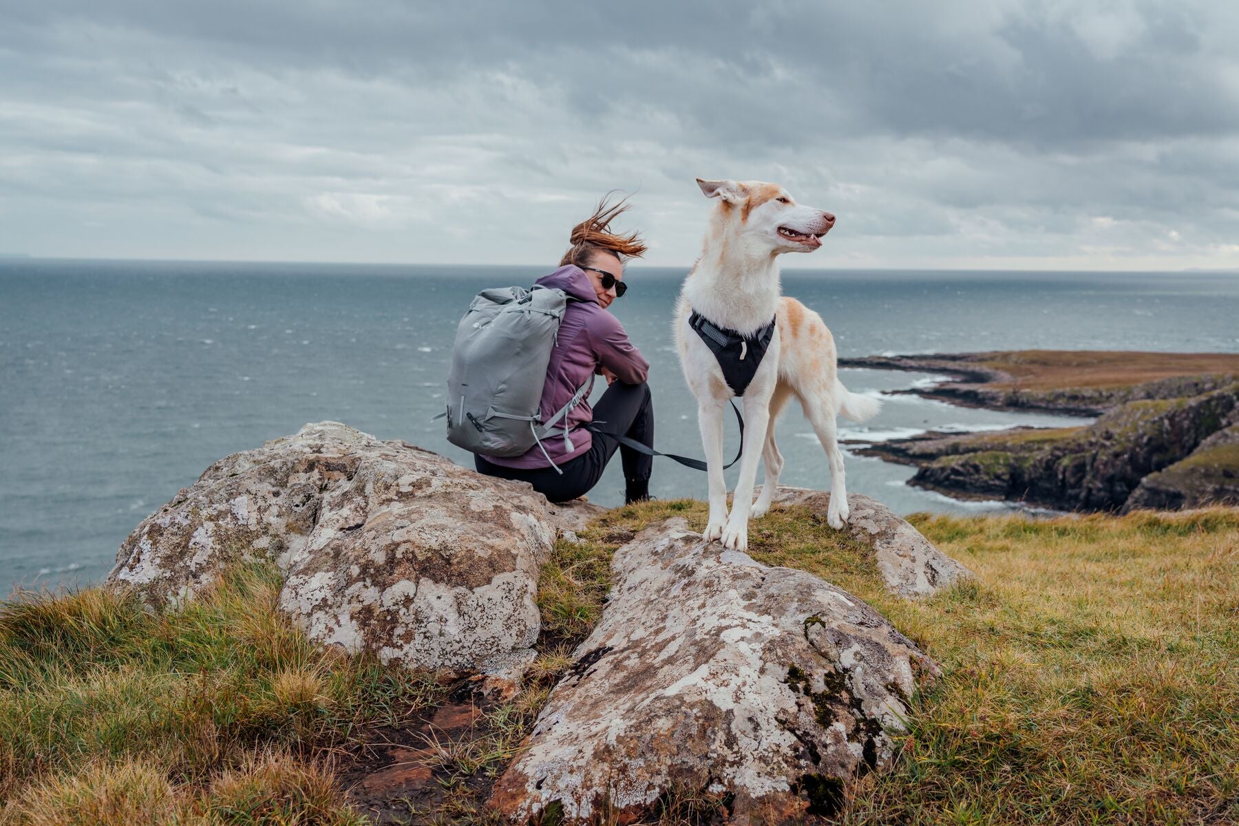 Woman and cream dog wearing the Ruffwear Ridgeline harness in Obsidian Black sitting together on coastal rocks, wind in her hair, grey sea and rugged clifftops stretching behind them