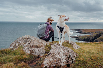 Woman and cream dog wearing the Ruffwear Ridgeline harness in Obsidian Black sitting together on coastal rocks, wind in her hair, grey sea and rugged clifftops stretching behind them